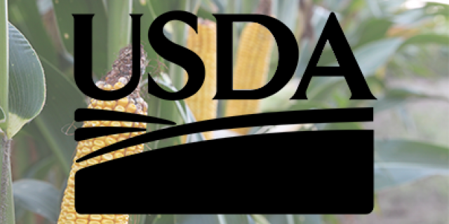 USDA logo on corn background 